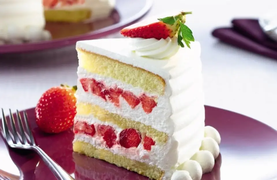 PURATOS DIANA 1 KG KREM ŞANTİ
