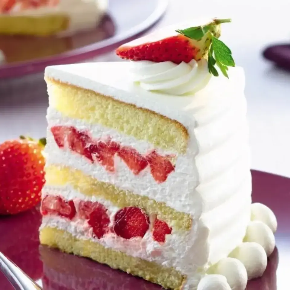 PURATOS DIANA 1 KG KREM ŞANTİ