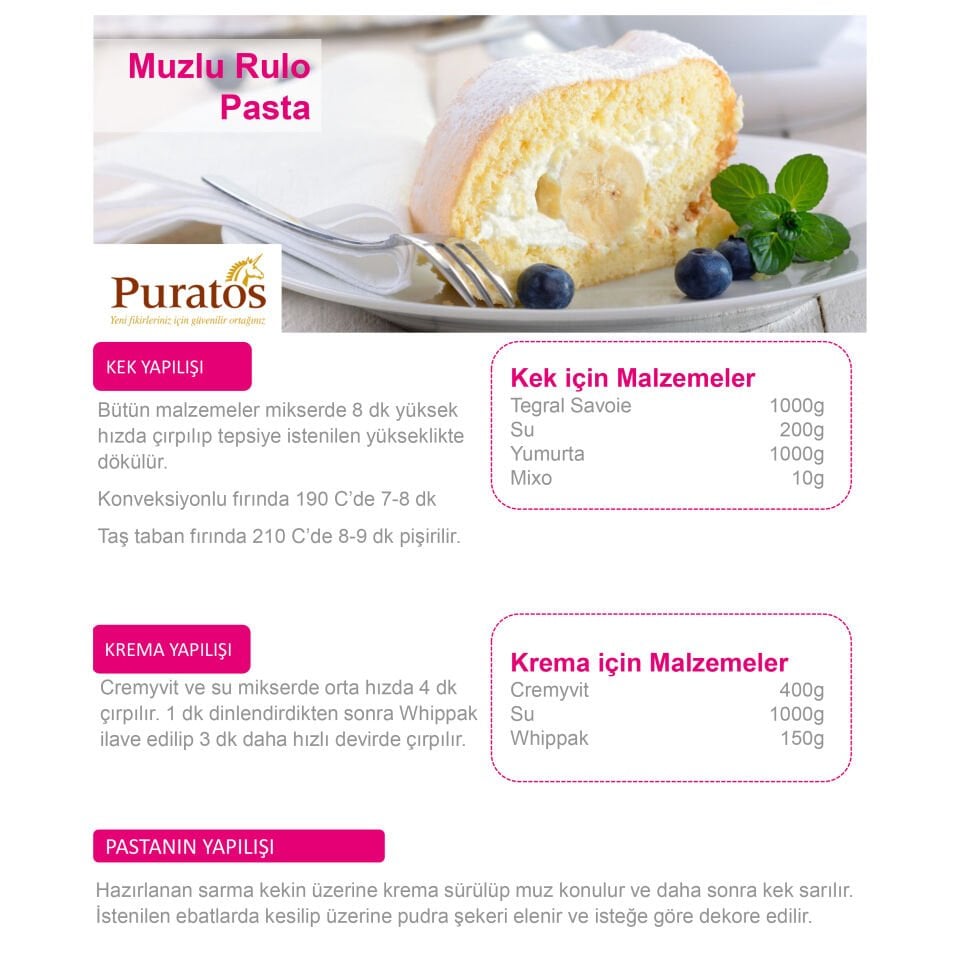 PURATOS TEGRAL SAVOIE 10KG (PANDİSPANYA) KEK KARIŞIMI