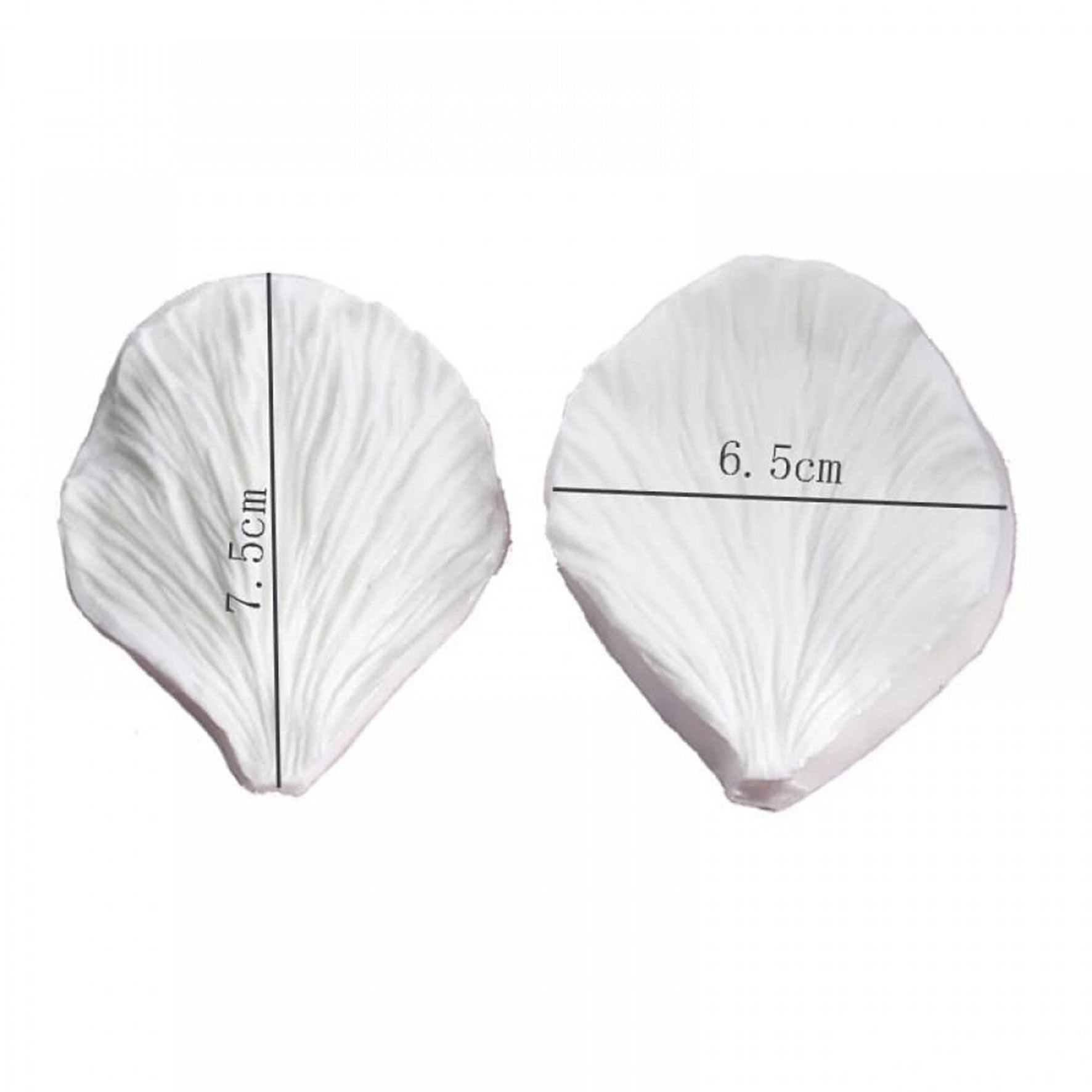 YAPRAK DAMARLAYICI ŞAKAYIK