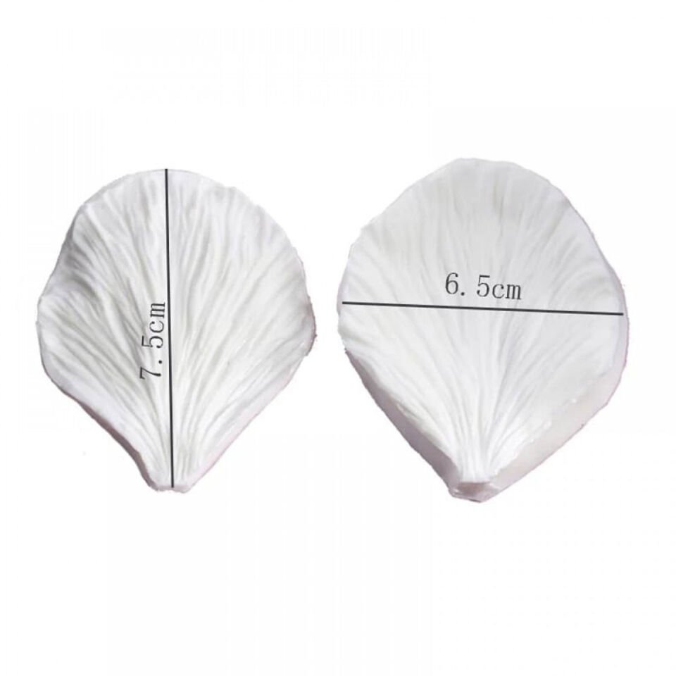 YAPRAK DAMARLAYICI ŞAKAYIK